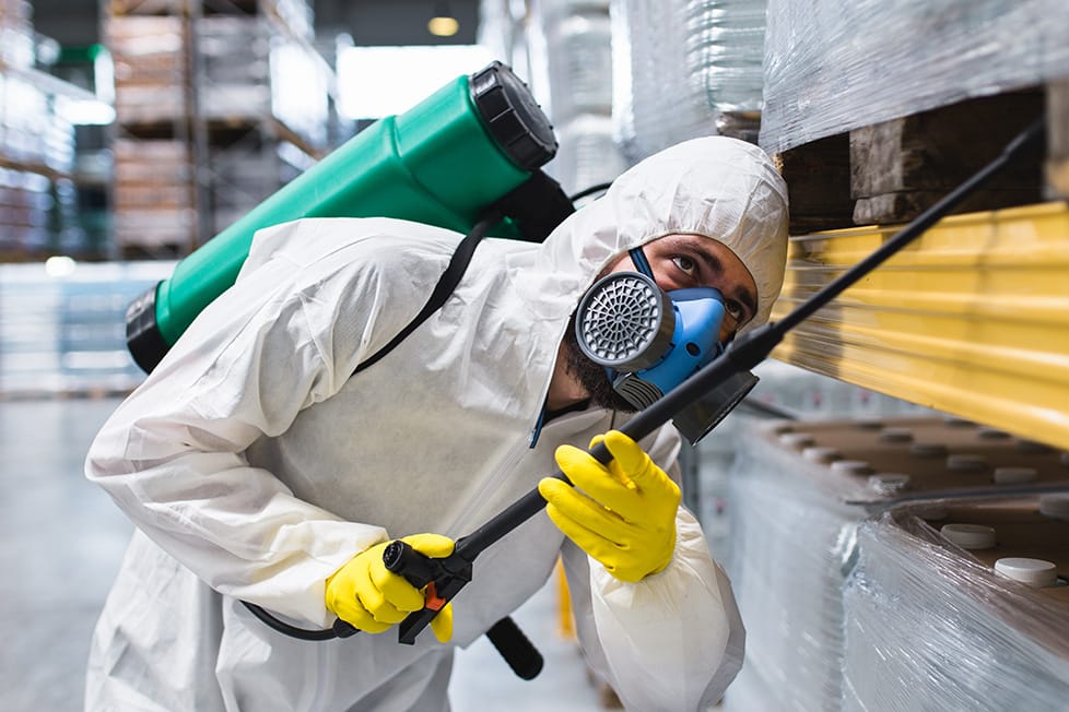 Eco-Friendly Pest Control in Galle