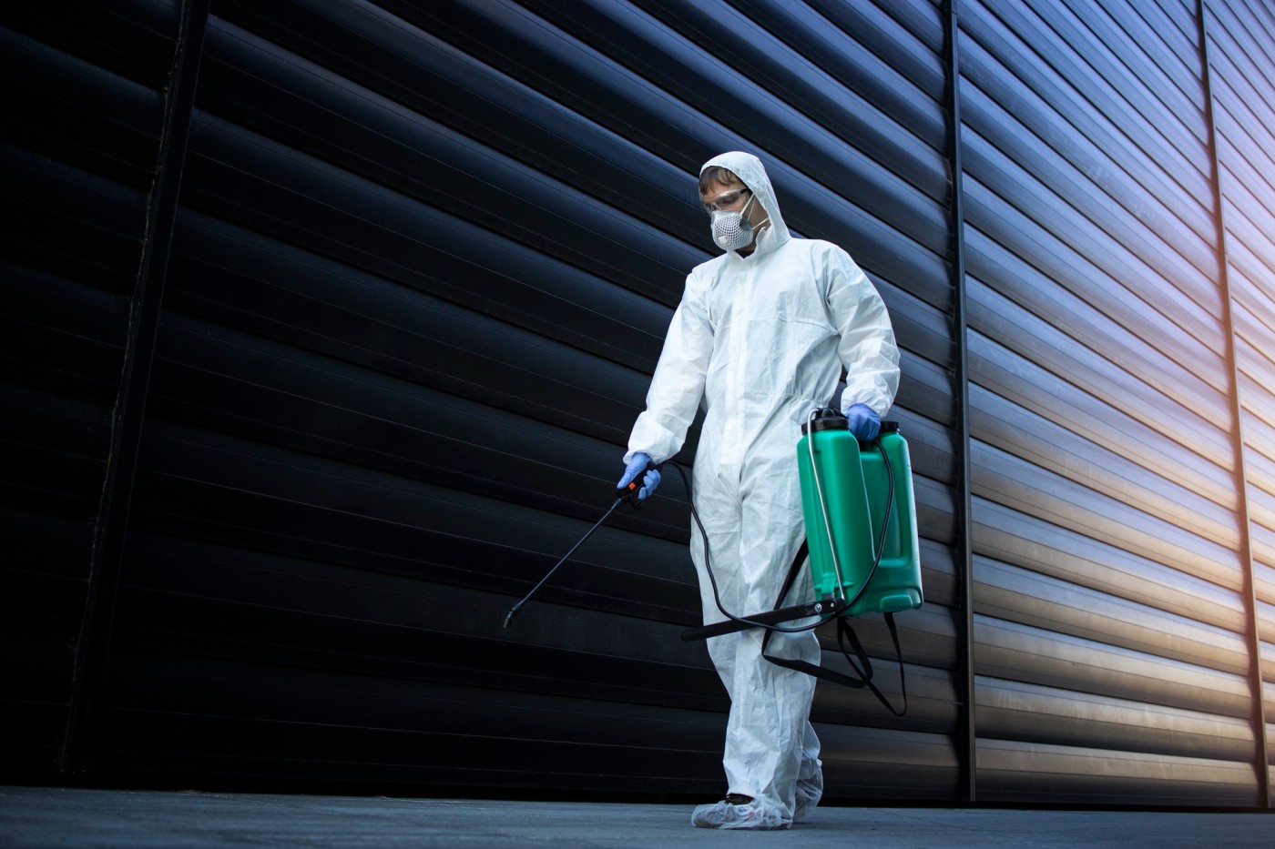 Eco Pest Control Services in Sri Lanka